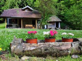 Kuca za odmor Todorovica mlin, cabaña o casa de campo en Gornji Milanovac