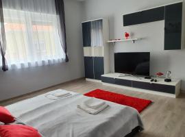 Flamingo Apartment, hotel with parking in Sárvár