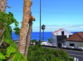 Lazy Lizard by the Ocean