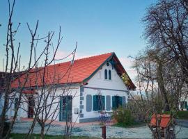 Landhaus Schaller im Südburgenland, apartamento en Maria Bild