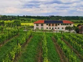 Tenuta Mani Sagge