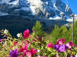 Appartamenti Coin Au Paradis โรงแรมในเบรยล์-แชร์วิเนีย