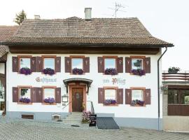 Hotel Landgasthof zum Pflug, hôtel à Steinen