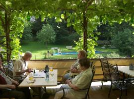 Hotel Dampfmühle, hostal o pensión en Enkirch