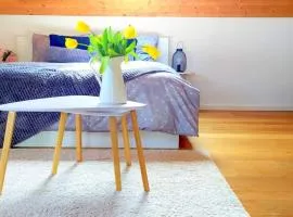 "Stone's throw" KRUMLOV 5 min by car, LIPNO 15 min by car, 2 bdrooms,playroom