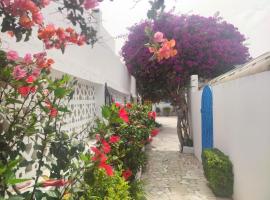 Suite à sidi bou Saïd, hotel in Sidi Bou Saïd