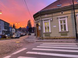 Guest House Hena, Pension in Sfântu Gheorghe