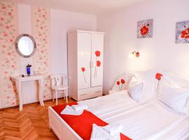 Pensiunea Vila Silva I, hotel con piscina en Haţeg