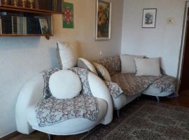 apartmtnt near Victori Squaue, ubytování v soukromí v Kyjevě