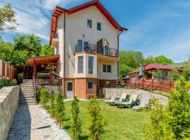 Pensiunea Casuta cu Trandafiri 2, guest house in Slănic