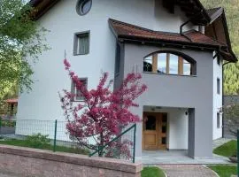 Angeli Dolomiti House