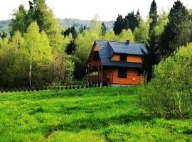 DoMarka całoroczny dom w Bieszczadach, cabin in Wetlina