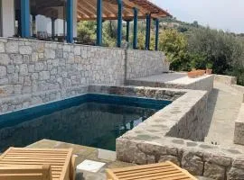 Vanua house