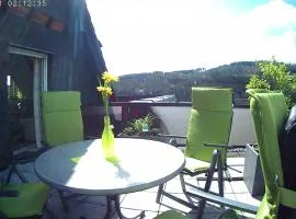 Panoramablick Ferienwohnung Luge Winterberg Sauerland
