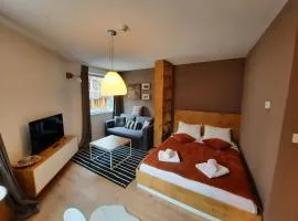 Mountain Angel Apartment