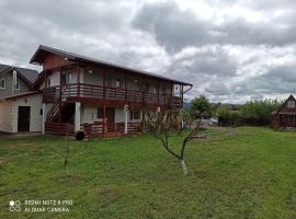 Casa La Andrei, guest house in Topliţa