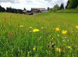 Stockreutehof, place to stay in Sulzberg