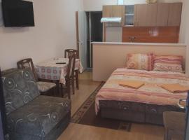 Apartmani Cera, hotel en Soko Banja