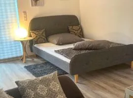Ferienwohnung schöner Rheingau