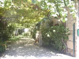 Vivienda tradicional con jardín y patio interior