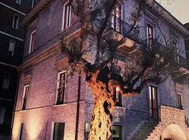 B&B Palazzo Storico Di Nicola