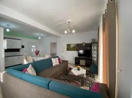 Apartment Krenar Voda