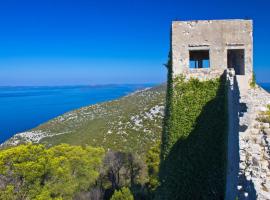 Holiday house in Preko with sea view, terrace, air conditioning, WiFi (4571-1), hotel em Preko