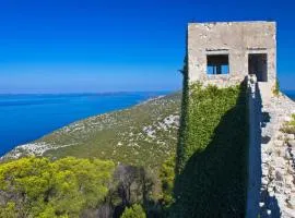 Holiday house in Preko with sea view, terrace, air conditioning, WiFi (4571-1)