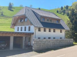 Ferienwohnung Natururlaub Muggenbrunn, hotelli kohteessa Todtnau