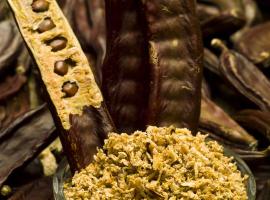 Holiday Home (139-2), Hotel in Rogačić