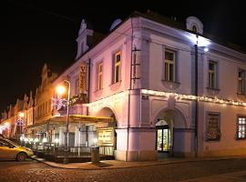 Hotel Zlatá Včela, hotel in Domažlice