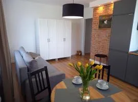 Koszalin-Old Town Apartment