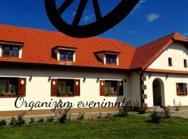 Pensiunea Elena, guest house in Criţ