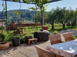 APARTMA NANA STRUNJAN