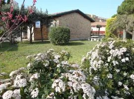 Holiday home in Porto Santa Margherita 24771