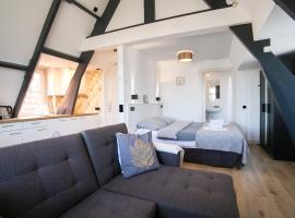 Four Star Apartments - Berkenbosch Blokstraat、スケベニンゲンのホテル