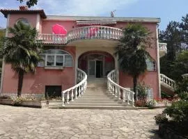 Happy house Villa Žiži Rijeka Viskovo