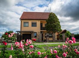 Mónika Vendégház, bed and breakfast en Mórahalom