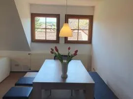 Ferienwohnung im Schwarzwaldhaus