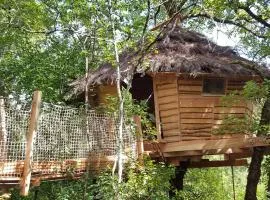 Cabane Dans Les Arbres - Les Lutins