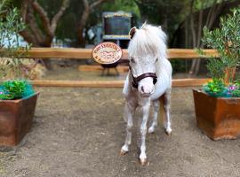 The Pony Experience; Glamping with Private Petting Zoo, farm stay in Temecula