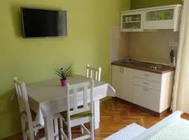 Studio Apartment in Palit with Balcony, Air Conditioning, Wi-Fi (4603-4)