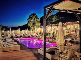 Pensiunea Alexandra & SPA, hotell i Divici