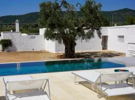 Masseria Pezze Galere Piscina privata