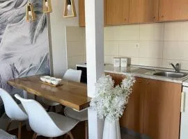 Apartman Lukić