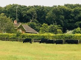 Yellowham Farm, country house in Yellowham Wood