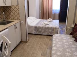 Old Tbilisi Tsiskari APT