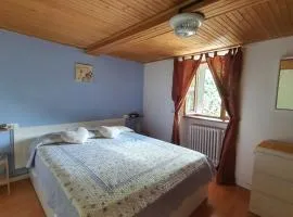 Coccinella House