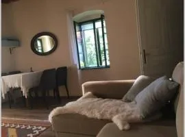 Authentic farmhouse (Söjtöry-Domonkos Ház)