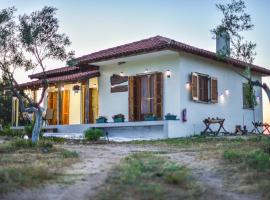 Vast Emerald, the only house in Kavourotrypes, cabaña o casa de campo en Sarti